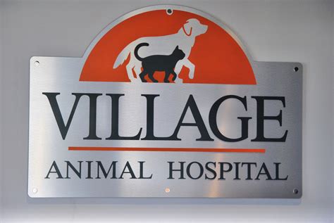 village animal hospital minnetonka|minnetonka animal hospital minnetonka mn.